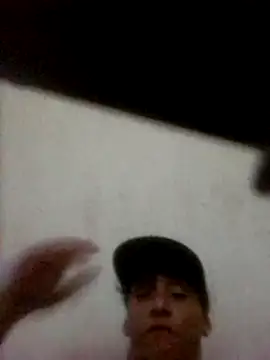 pajaroamBle webcam