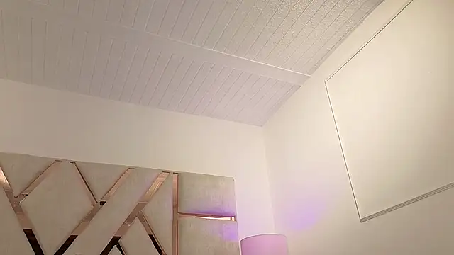 auravg webcam
