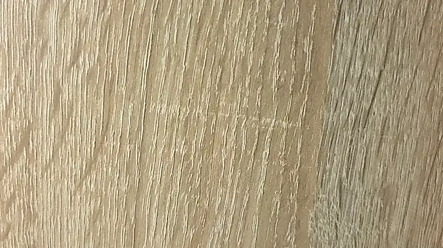 NoFace_Model webcam