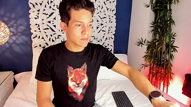 LevinFox webcam