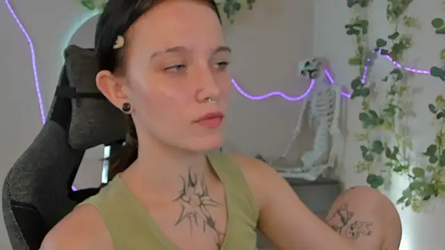 Elastikisss webcam