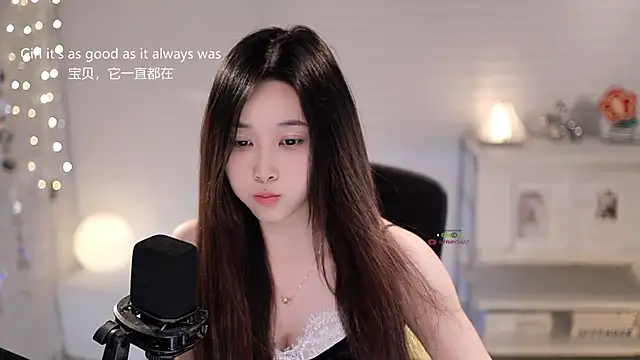 SleepArtist webcam