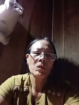 toyo_668 webcam
