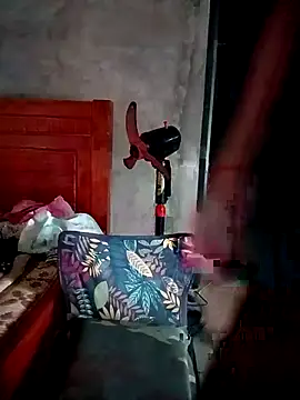 Dury-ni webcam