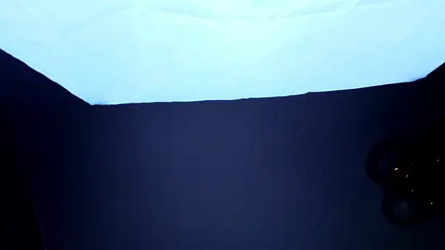 PerryKitty webcam