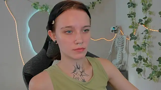 Elastikisss webcam