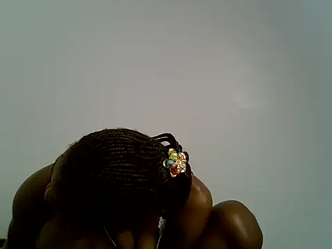 Calmfolower webcam
