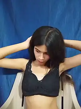 HIE-JANVI webcam