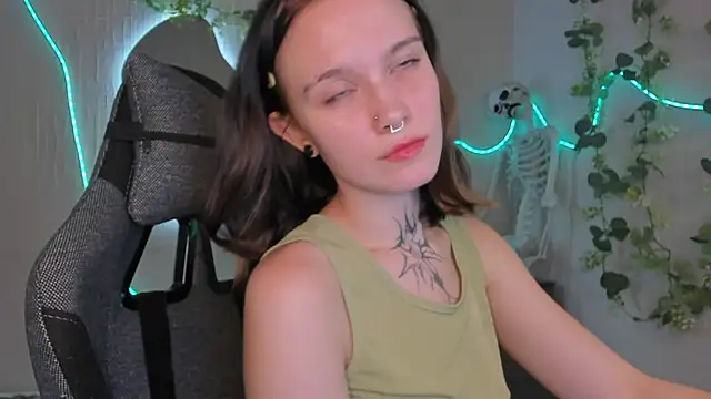 Elastikisss webcam