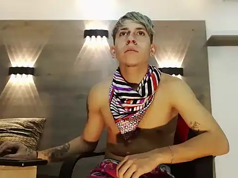 Gaeliitto webcam