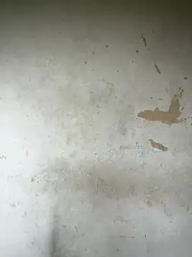 AngelaZamera webcam