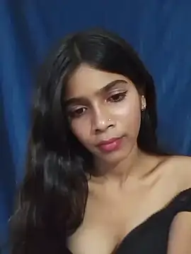 HIE-JANVI webcam