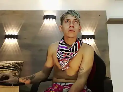 Gaeliitto webcam
