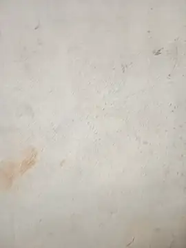 sophi911 webcam