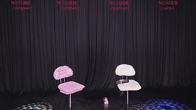 Wanwan-008 webcam