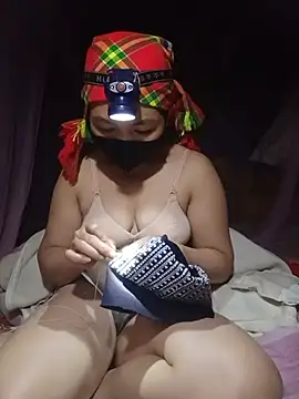 Hiha-nn webcam