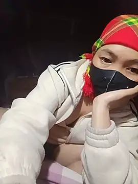 Hiha-nn webcam