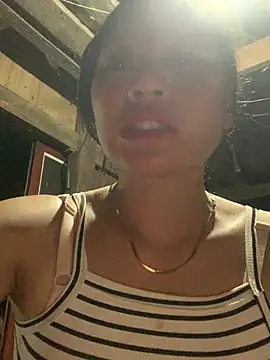 hancook webcam
