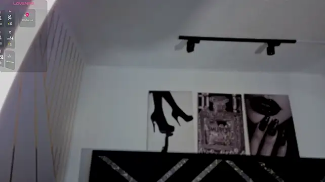 daimon_stan webcam