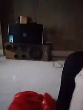 Jellci02 webcam