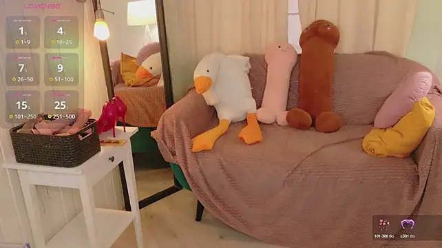 Mira_Falls webcam