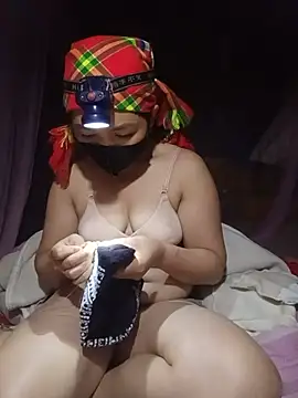 Hiha-nn webcam