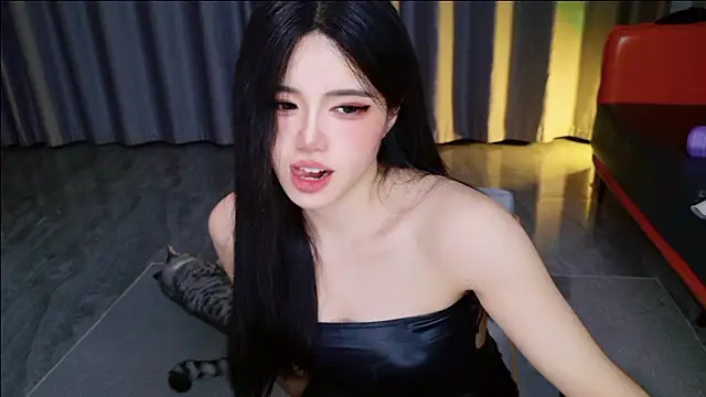 xiaoxun520 webcam