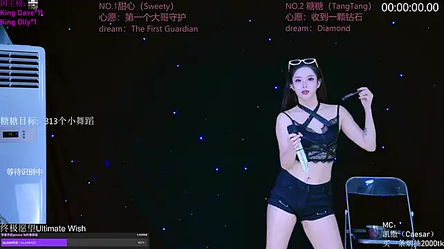 CCTW-100 webcam