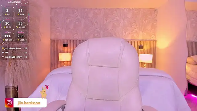 Jin-harrison webcam