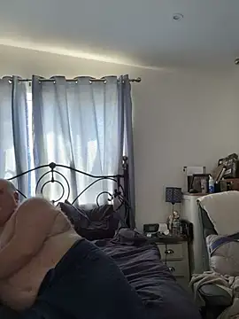 greyoakbear