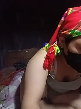 Hiha-nn webcam