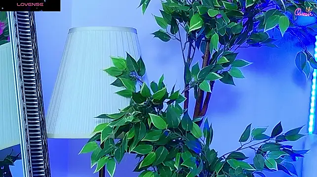 Daliya_ webcam