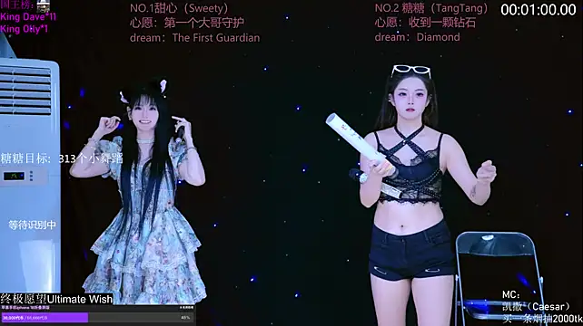 CCTW-100 webcam