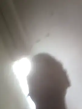 rajlocal webcam