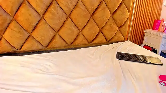 PamelaCollinsVS webcam