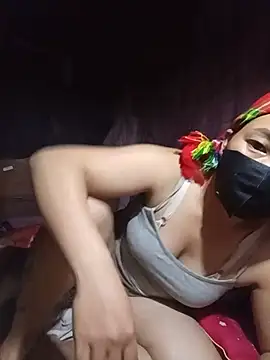 Hiha-nn webcam