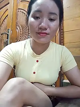 Td3di webcam