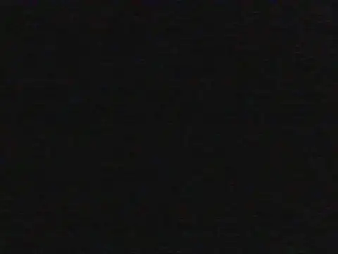 shugabaibe webcam