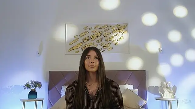 Vi_fi webcam