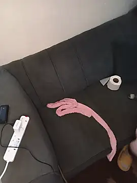skylaranna webcam
