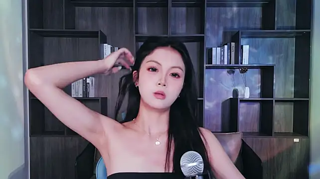 Lanmei01 webcam