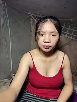 sunnytran webcam