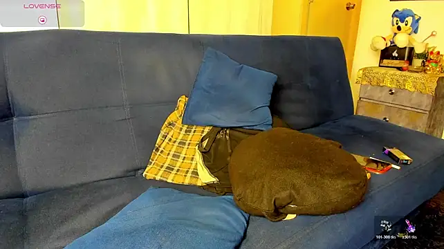 owen_freid webcam