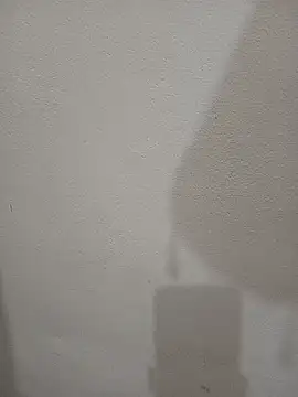 Tanha18 webcam