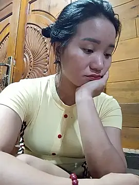 Td3di webcam
