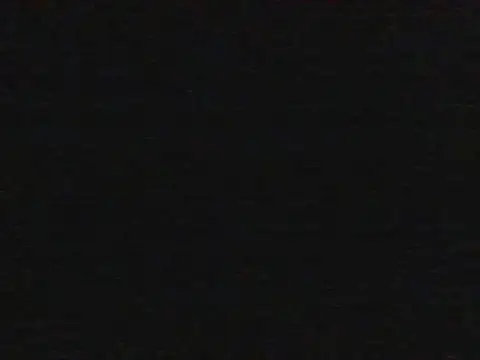 shugabaibe webcam