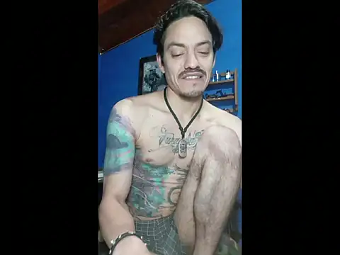 Alan_summer webcam