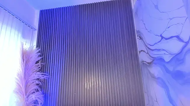 ZoehMiller_ webcam