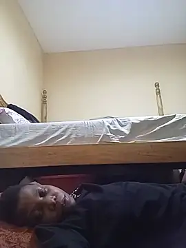 CRIBANN webcam