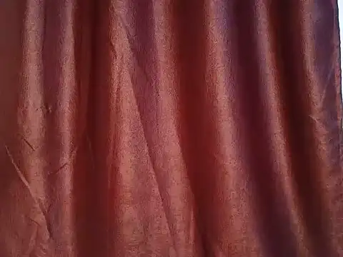 sexylenvix webcam